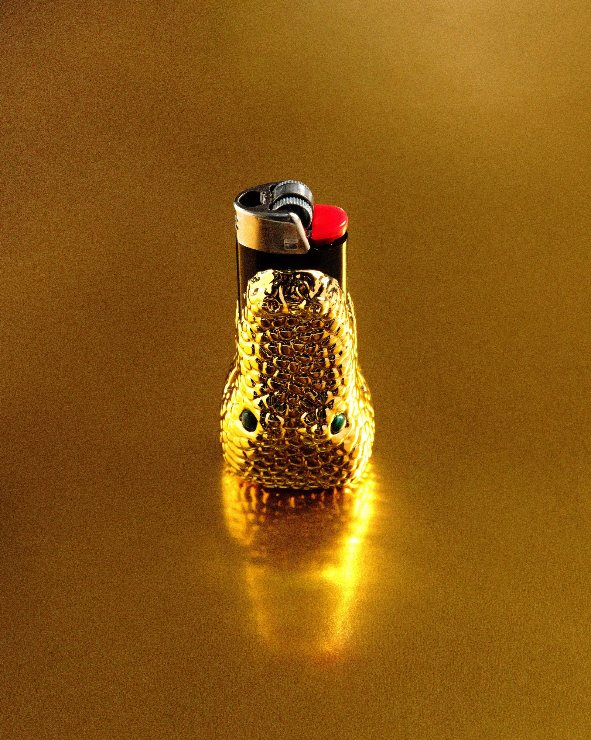 Croc Lighter Case