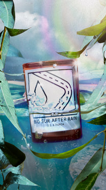 Big Sur After Rain candle by DS &amp; Durga