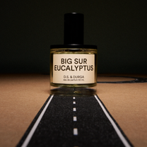 Big Sur Eucalyptus by DS &amp; Durga