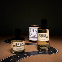 Big Sur Eucalyptus by DS &amp; Durga