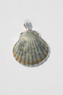 Large Shell Pendant