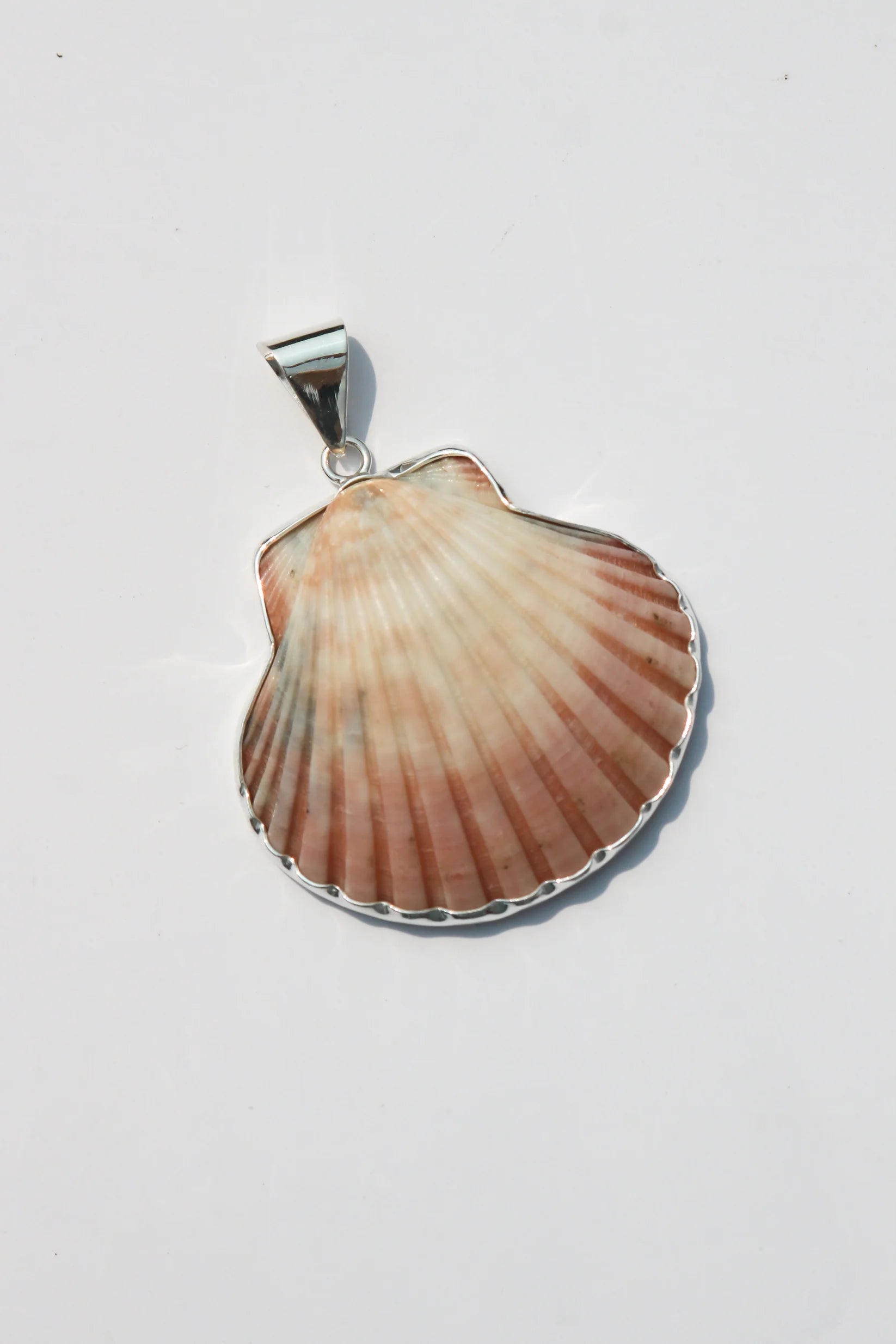 Large Shell Pendant
