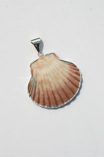 Large Shell Pendant