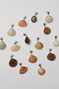Small Shell Pendant