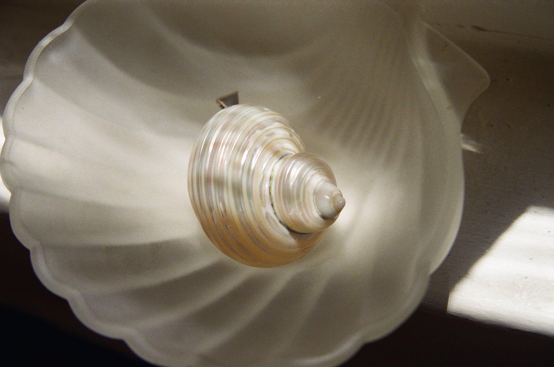 Conch Pendant