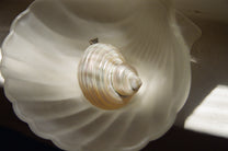 Conch Pendant