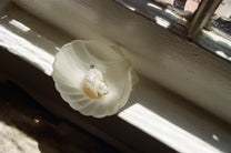 Conch Pendant