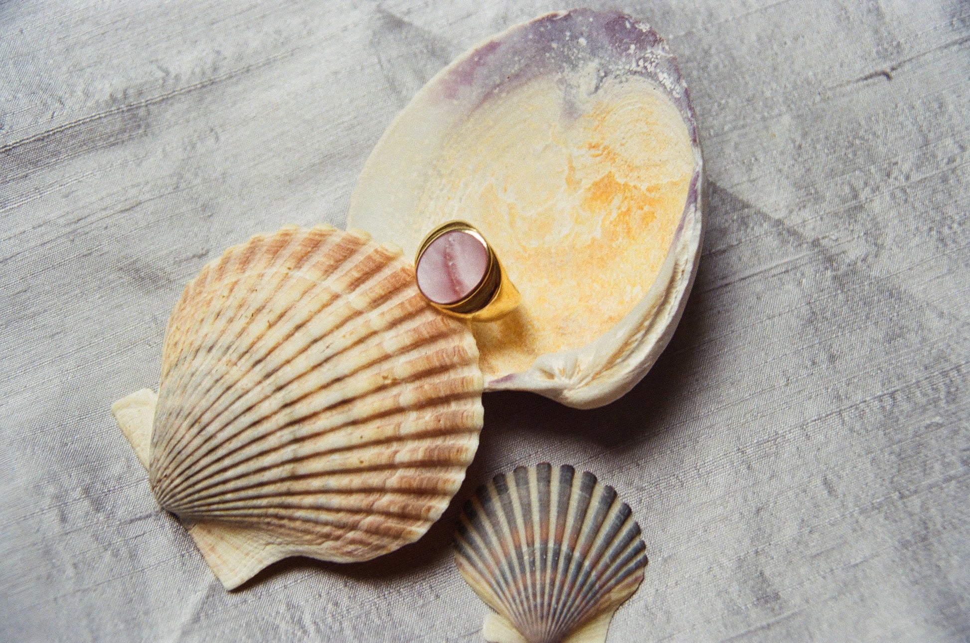 Perlmutte Abalone ring gold
