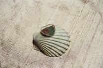 Perlmutte ring tuquoise &amp; silver